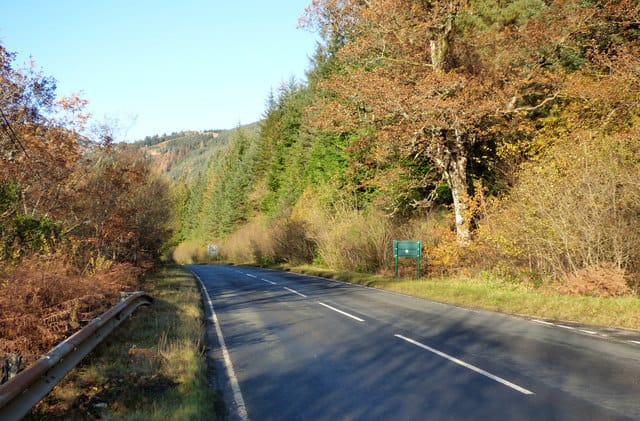 Passengers on the Journey: Reflections on Loss and Memory