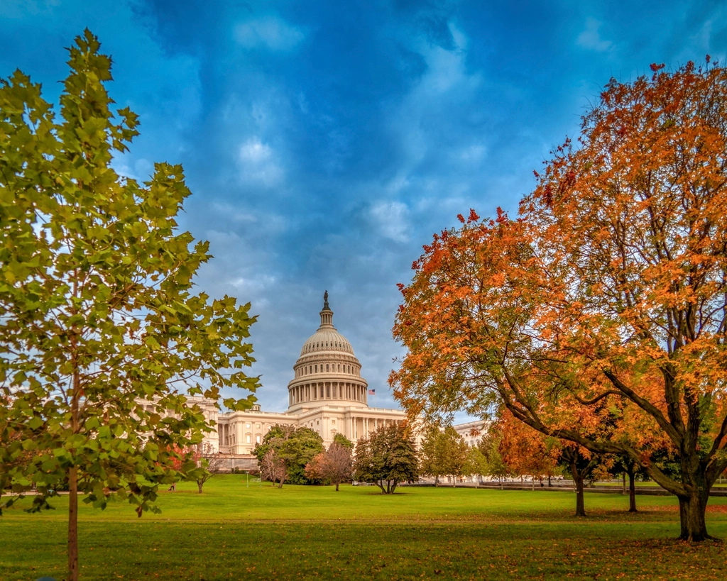 United States Capitol, Washington DC